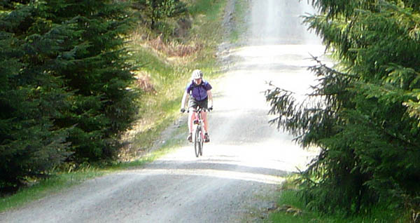 Cycling in Grizedale Forest